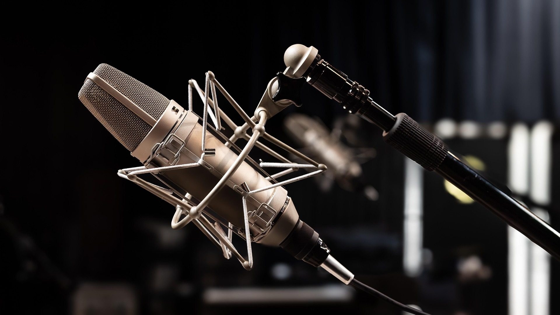 A studio condenser microphone